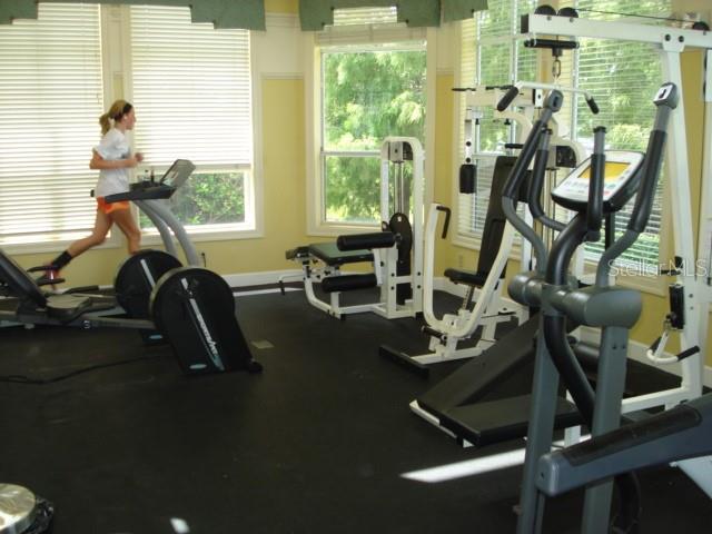 THE PALMS OF CORTEZ - Residential