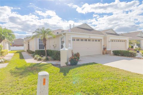 A home in RIVERVIEW