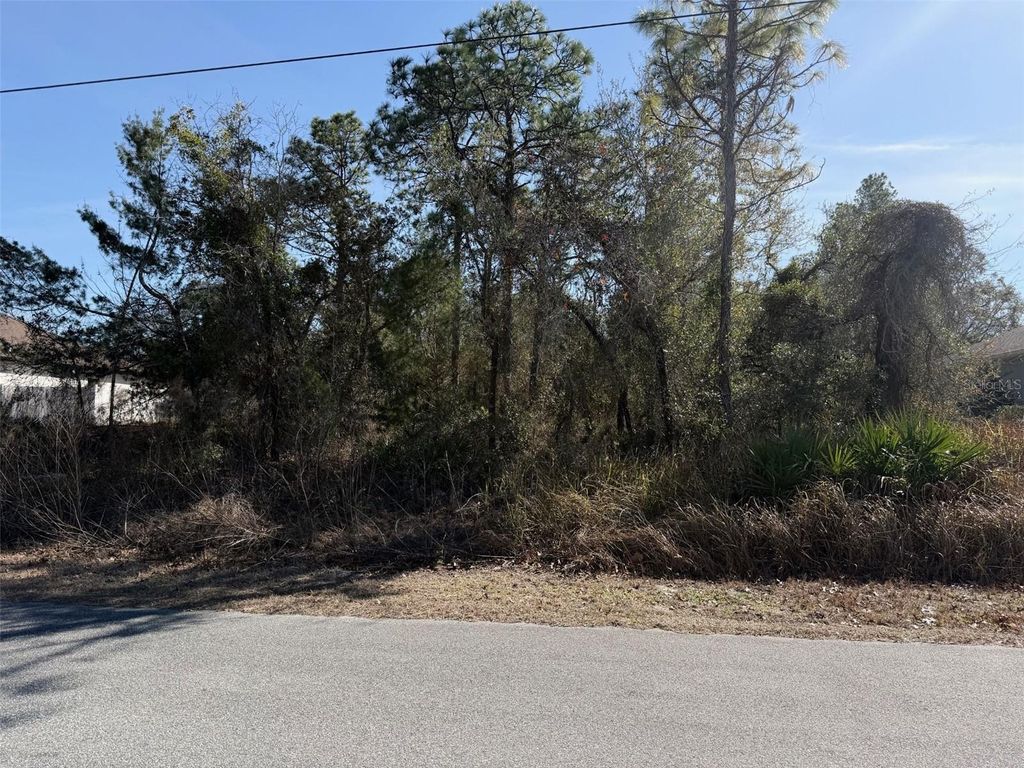 Photo of 0 Godwit Avenue, Weeki Wachee, FL 34613 (MLS # W7882599)