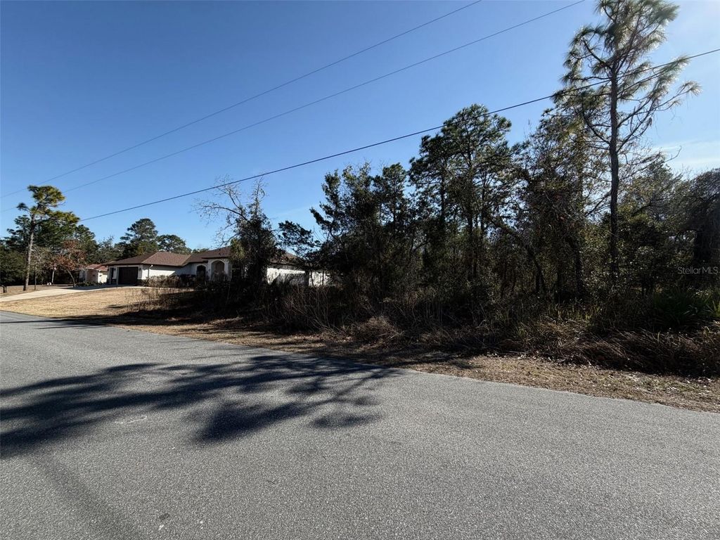 Photo of 0 Godwit Avenue, Weeki Wachee, FL 34613 (MLS # W7882599)