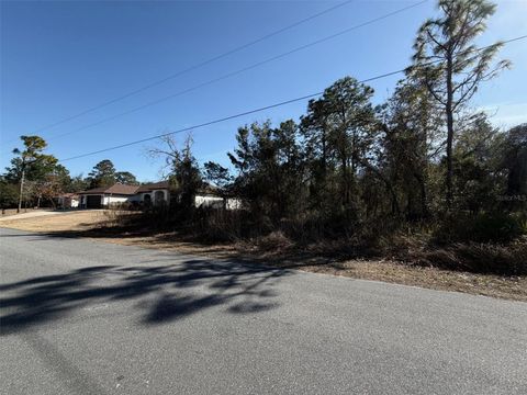 0 GODWIT AVENUE WEEKI WACHEE FL 34613