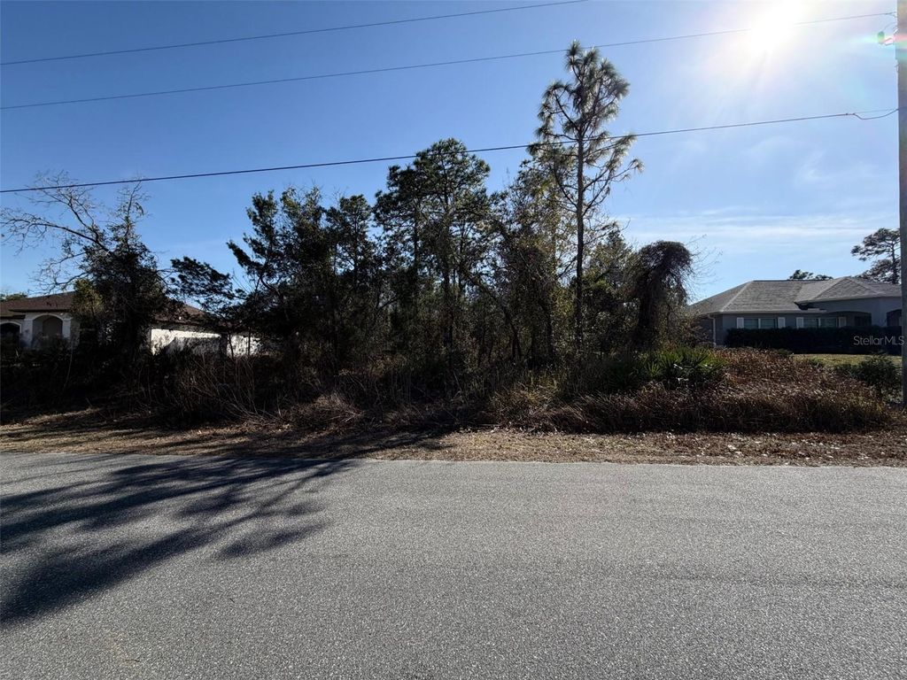 Photo of 0 Godwit Avenue, Weeki Wachee, FL 34613 (MLS # W7882599)