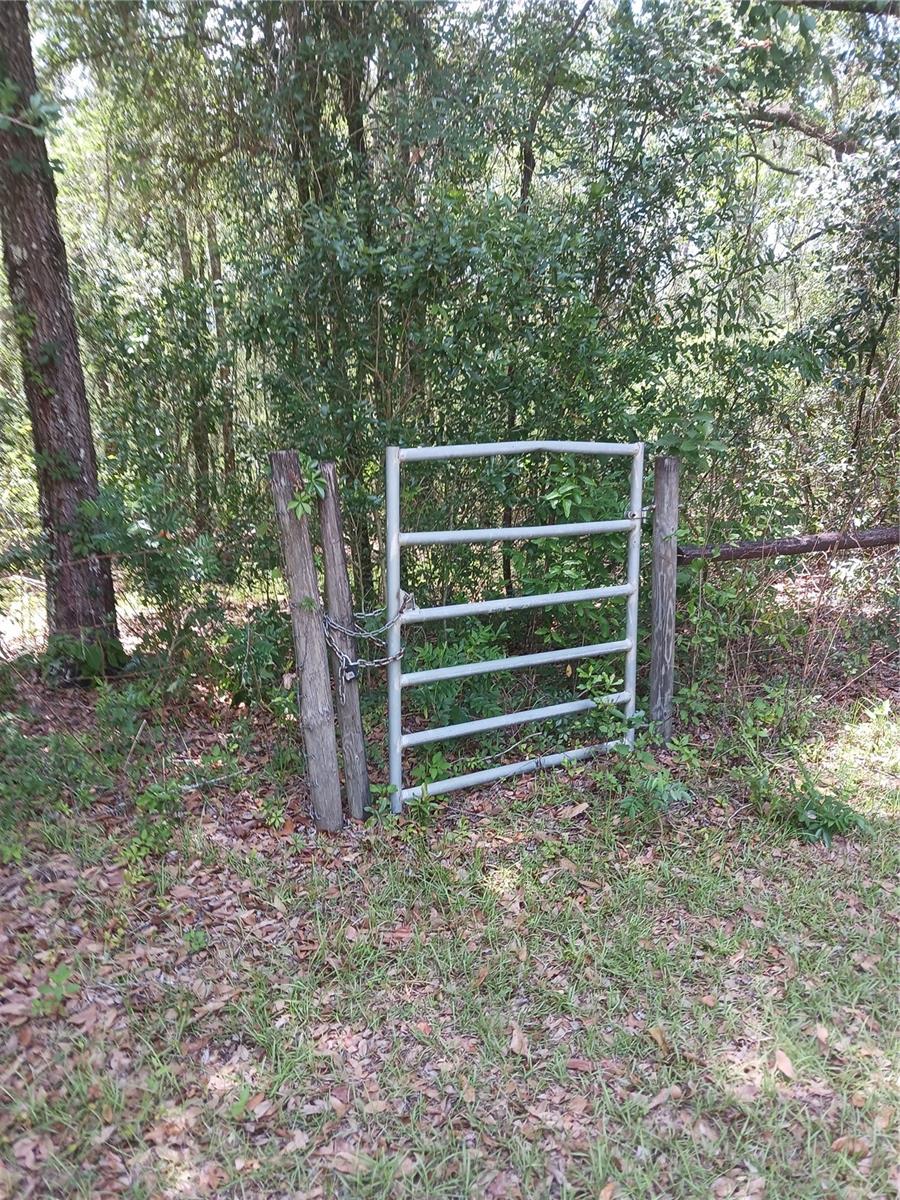 1474 JACKSON HILL