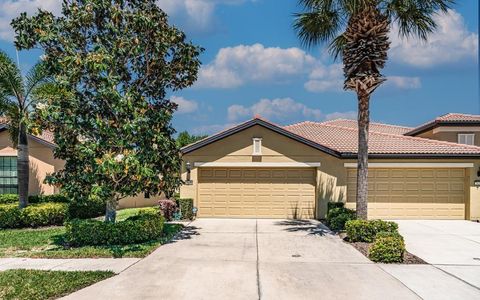 Photo of 5636 Sunset Falls Drive, Apollo Beach, FL 33572 (MLS # T3517279)
