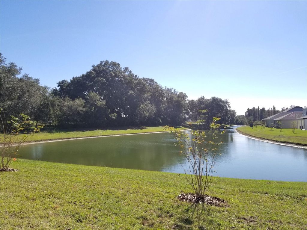 Photo of 30708 Walker Cup Place, Wesley Chapel, FL 33543 (MLS # TB8496597)