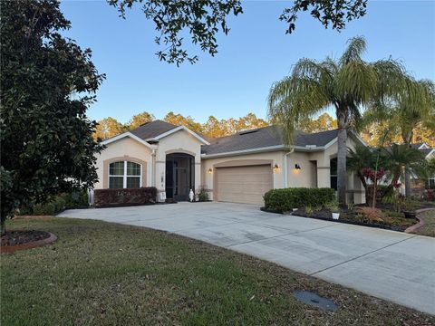 120 S HUMMINGBIRD PLACE PALM COAST FL 32164
