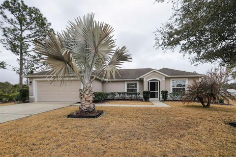 46 SEA TRAIL PALM COAST FL 32164