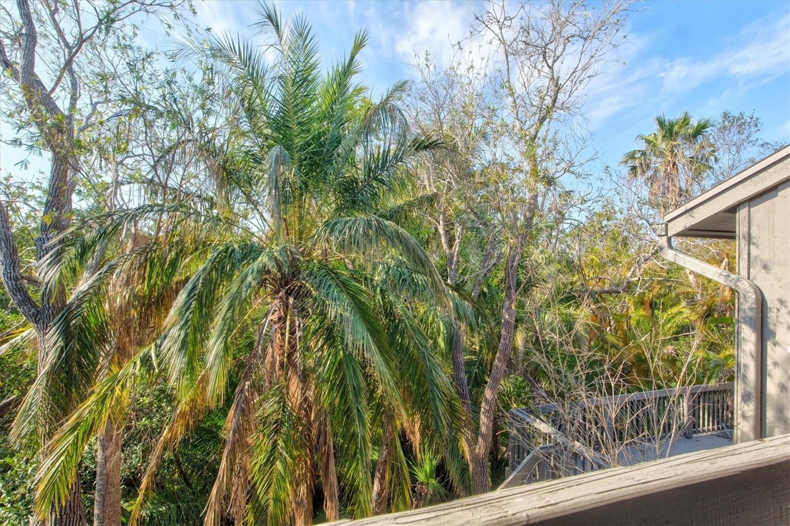 LANDINGS TREEHOUSE - Residential