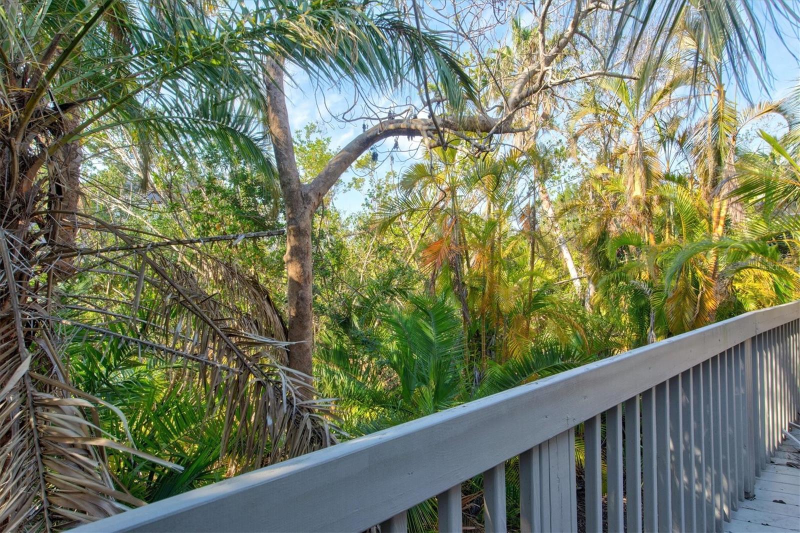 LANDINGS TREEHOUSE - Residential