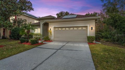 A home in ORLANDO