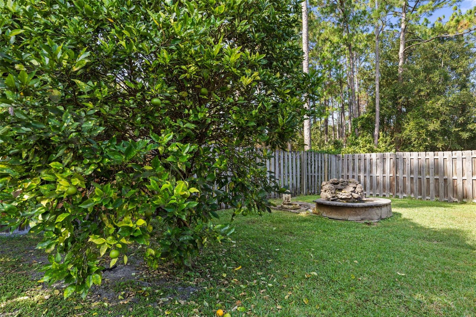 PALM COAST SEC 09 - Residential