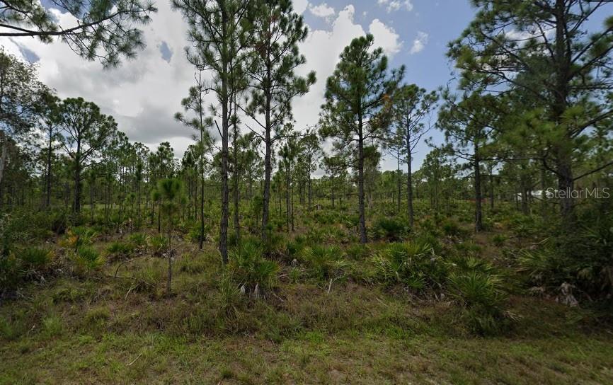 28077 CALOBAR COURT, PUNTA GORDA, FL, 33955 1 28077 CALOBAR COURT