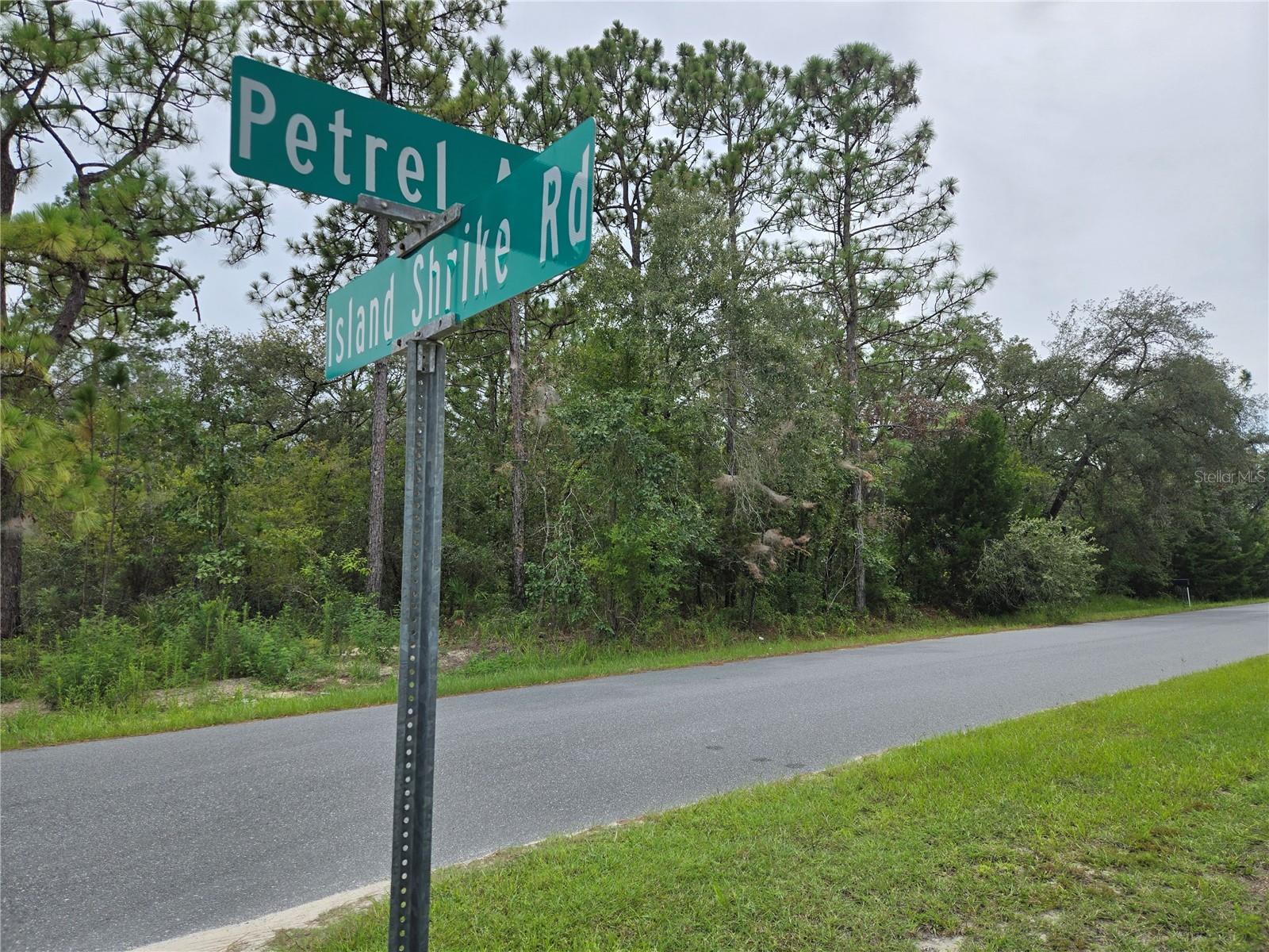 Build Your Dream Home in Royal Highlands – Prime Location!
This high-and-dry 1/2 acre+ homesite is perfectly positioned on a beautiful street in one of Hernando County’s most desirable areas. With plenty of space to create your ideal home, the lot offers the peace and privacy of country living while still being just minutes from city conveniences calling some of Floridas most beautiful flora and fauna your neighbors including wild turkeys. sandhill cranes, and deer.
Enjoy quick access to the Nature Coast’s world-famous attractions—including Weeki Wachee Springs, Buccaneer Bay, and countless parks, preserves, and beaches. The Suncoast Parkway (589) makes for an easy commute to Tampa, and you’re less than 90 minutes from Downtown Disney and Orlando’s top destinations.
Location, location, location—this lot truly has it all. Plans are available for stunning 3- and 4-bedroom homes, giving you a head start on bringing your vision to life.
Don’t miss this rare opportunity to secure your piece of Royal Highlands and start building the lifestyle you’ve always wanted.