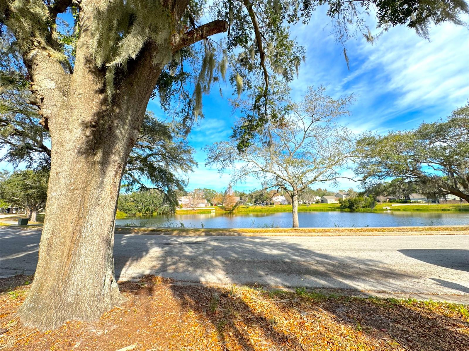 VILLAS AT SIGNAL HILL - Residential