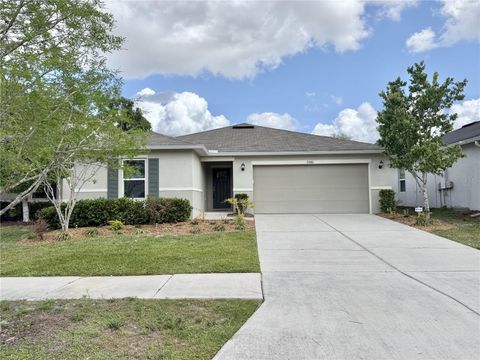 9242 FREEDOM HILL DR SEFFNER FL 33584