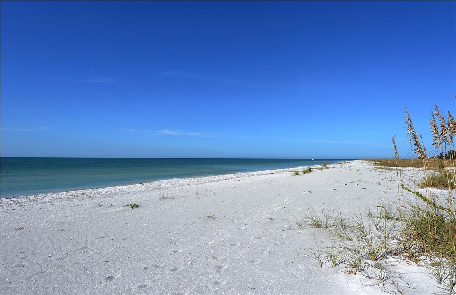 WHITNEY BEACH III - Residential