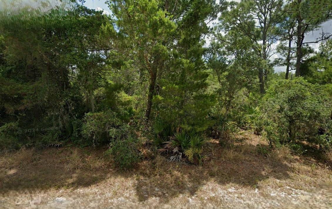 2 adjacent lots. Lot 20B is 105 X 125, lot 20C is 110 X 125. $13,000.00 per lot or $24,000.00 for both. All information provided is deemed reliable but is not guaranteed and should be independently verified.