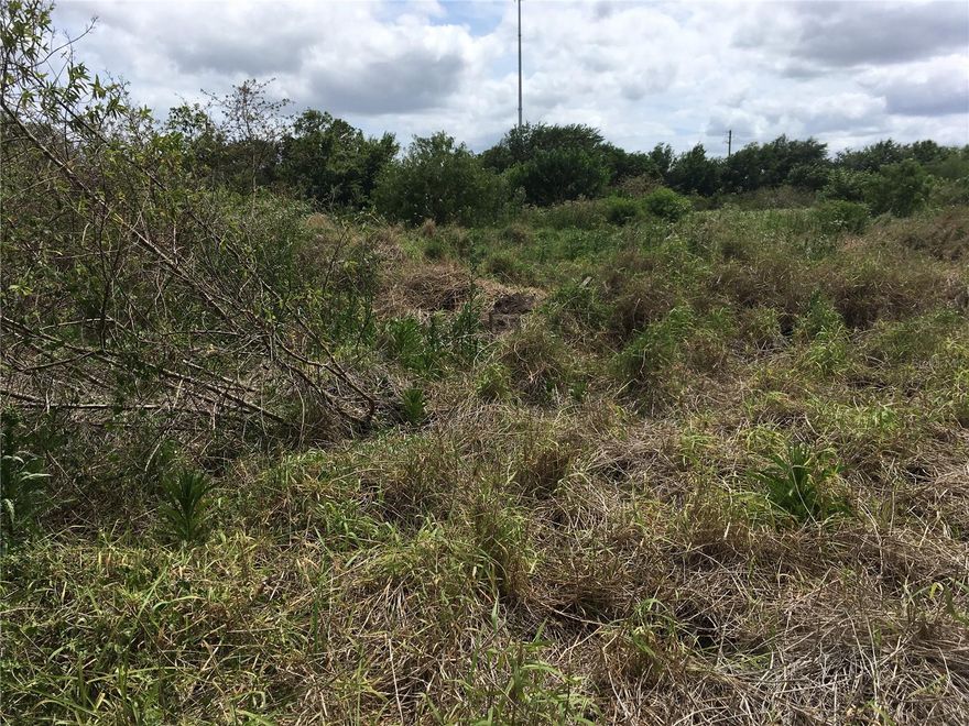 Under contract-accepting backup offers. Prime Commercial Property for Sale. Discover this exceptional property, high and dry, level, and more or less cleared, situated in a strategic location off South John Young Parkway in Kissimmee. This site offers convenient access to Central Florida's extensive network of roads, making it an ideal choice for your business needs. Key Features: The property has preliminary approval for RV, boat, and truck storage, providing a fantastic investment opportunity in a growing market. It was previously designed for 84,000 sq ft of office/warehouse space, showcasing its potential for various commercial uses. Comprehensive survey, details, and reports are available for review, ensuring you have all the information needed for your investment decision. This property is positioned to take advantage of the vibrant Kissimmee area and its surrounding amenities. Don't miss out on this excellent opportunity to secure a prime piece of real estate in Central Florida!