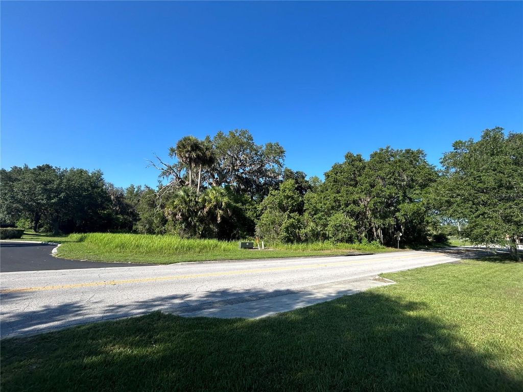 Photo of 1881 SE 30th Avenue, Ocala, FL 34471 (MLS # OM707151)