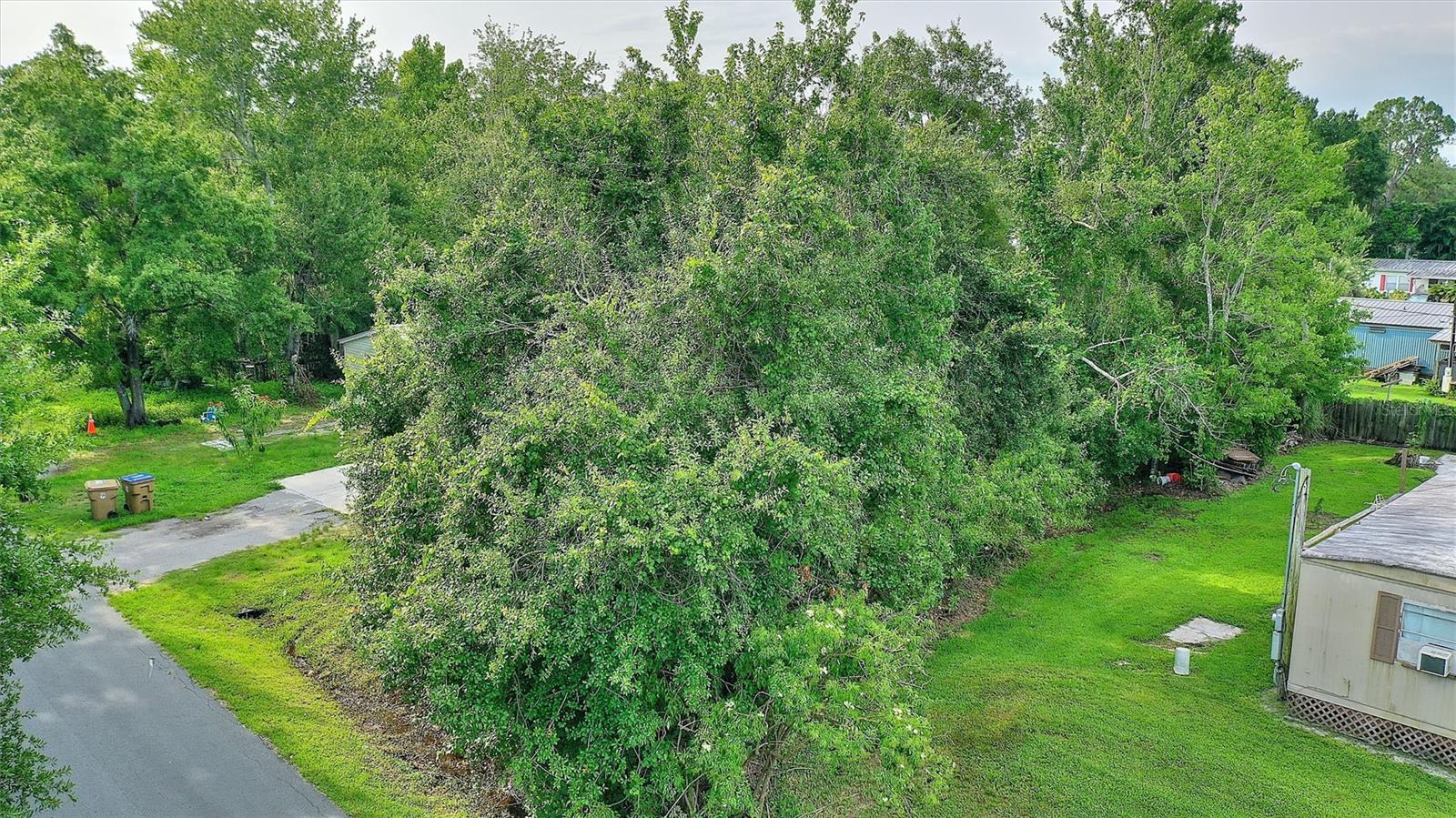 0 PALMETTO ROAD