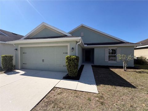 Photo of 31008 Satinleaf Run, Brooksville, FL 34602 (MLS # O6400347)