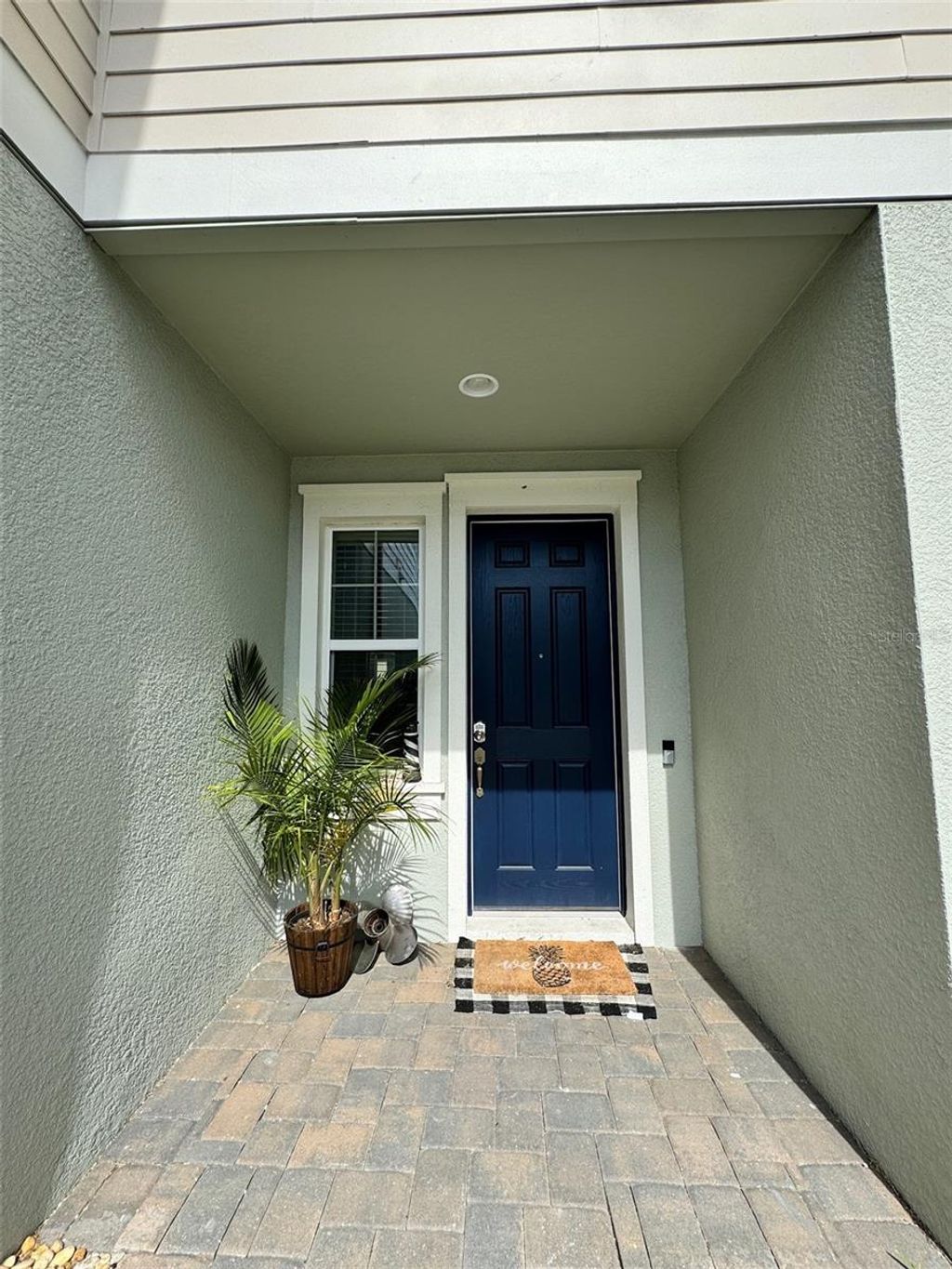 Photo of 2444 Foggy Creek Circle, Clearwater, FL 33764 (MLS # TB8479648)