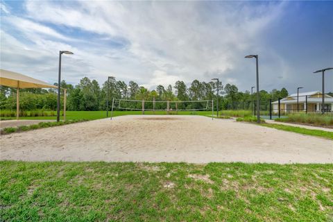 A home in GREEN COVE SPRINGS