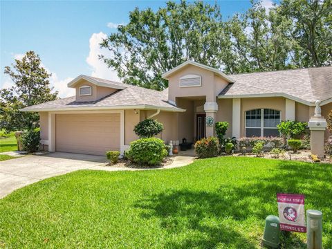 8640 FIRESTONE CIRCLE CLERMONT FL 34711