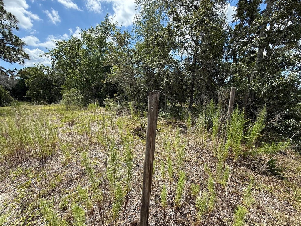 Photo of 94 Galvenston Street, Spring Hill, FL 34610 (MLS # TB8487454)