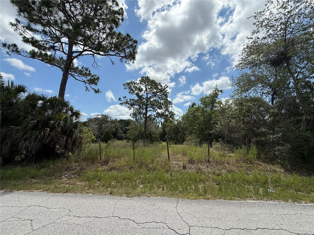 Photo of 94 Galvenston Street, Spring Hill, FL 34610 (MLS # TB8487454)