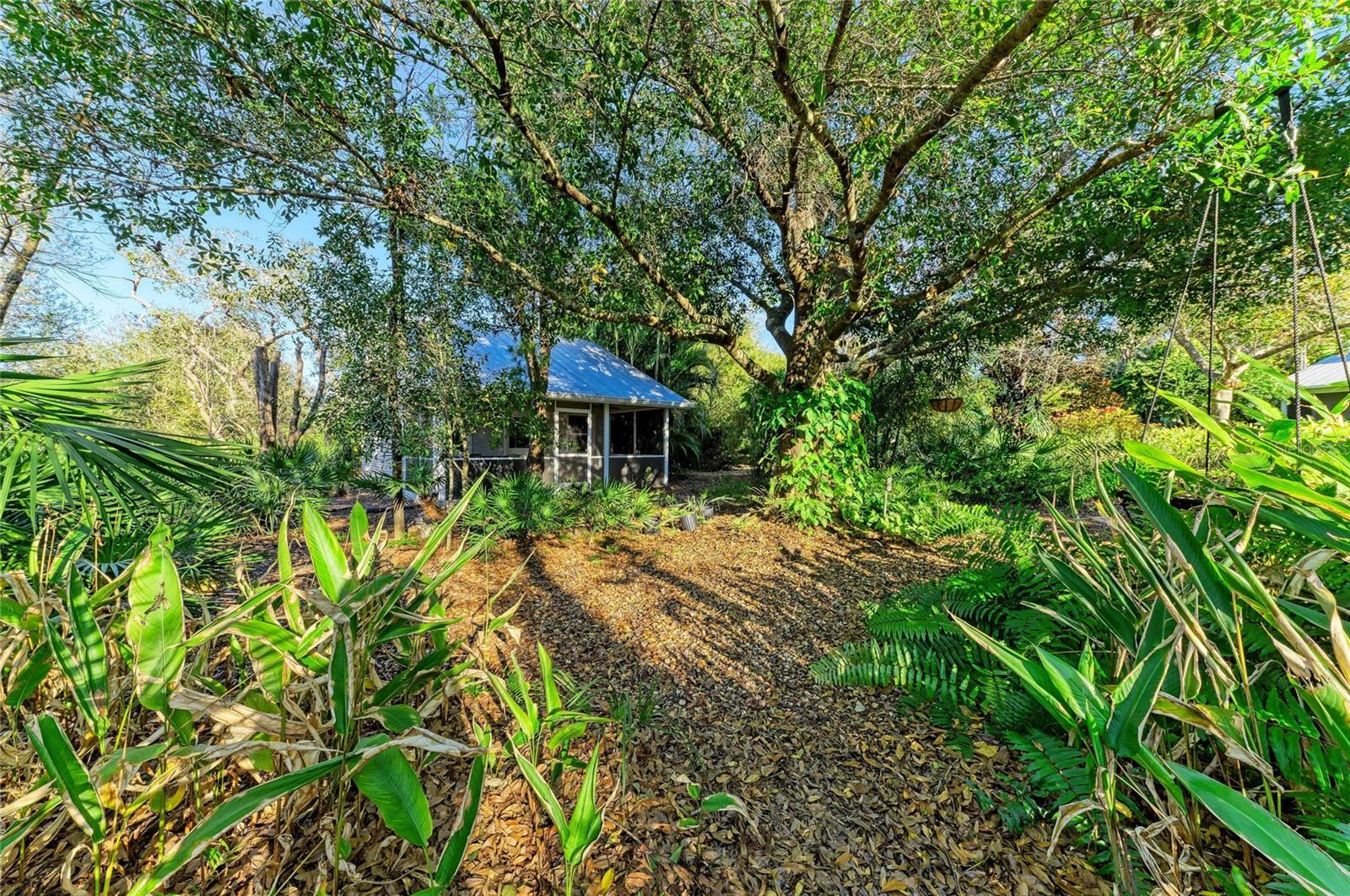 WASHINGTON LOOP - Residential