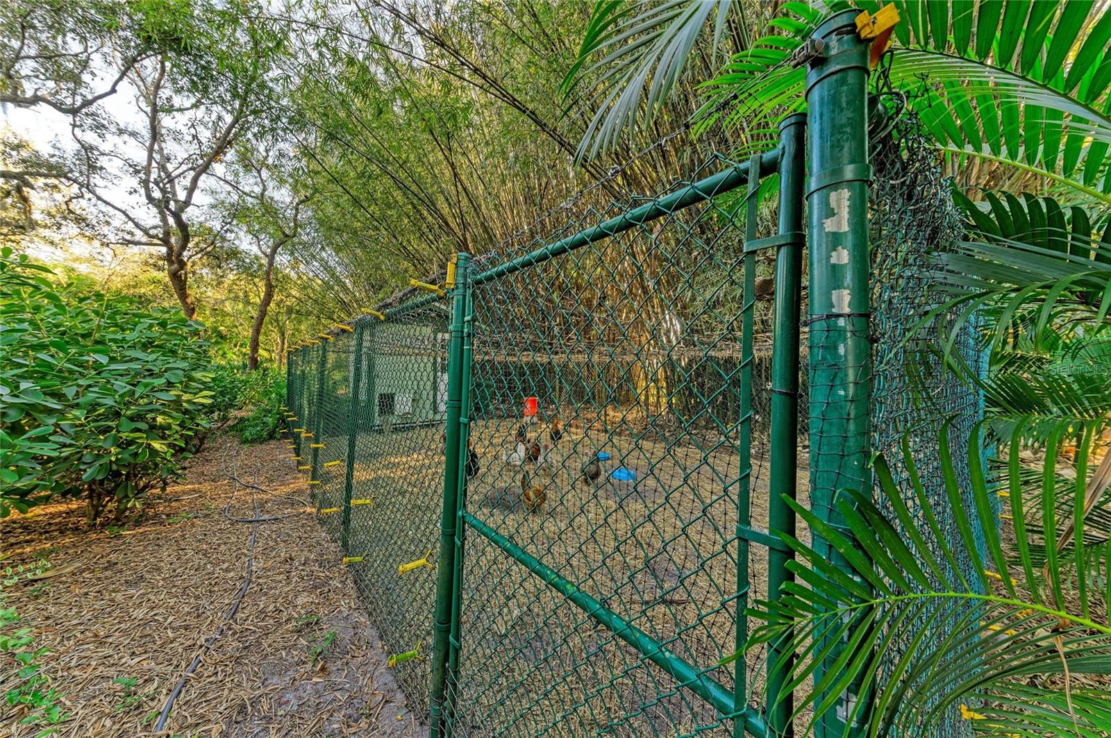 WASHINGTON LOOP - Residential