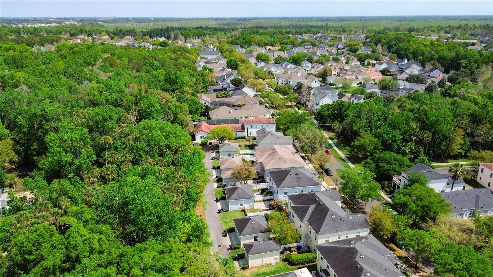 CELEBRATION ROSEVILLE CORNER - Residential