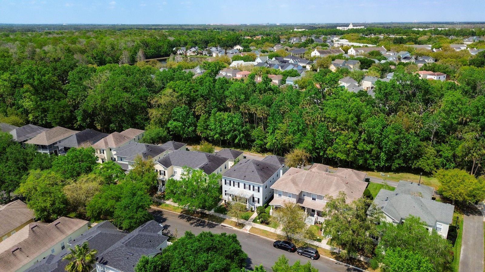 CELEBRATION ROSEVILLE CORNER - Residential