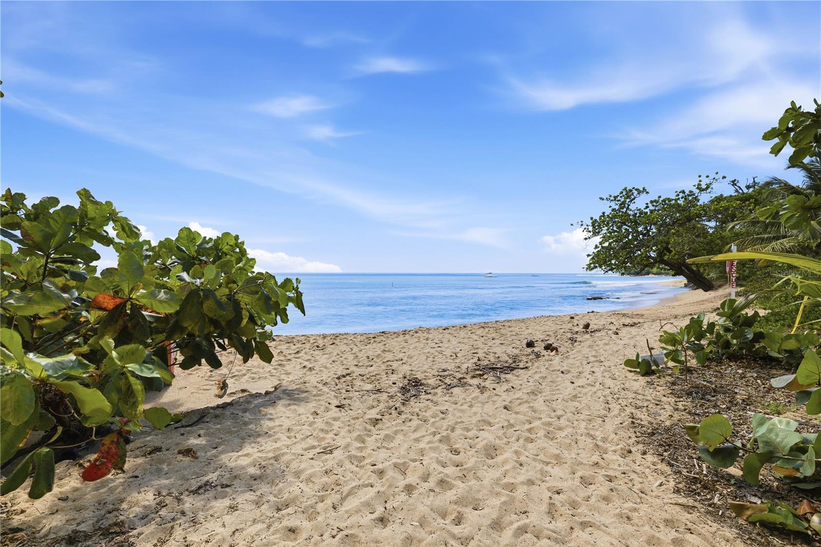 RINCON OCEAN VIEW DEVELOPMENT - Residential