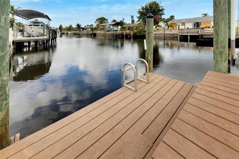 A home in APOLLO BEACH