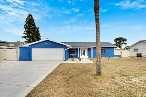 A home in APOLLO BEACH