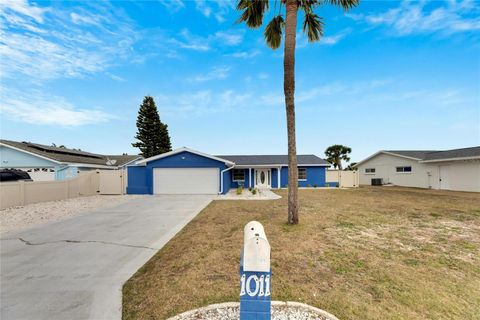 A home in APOLLO BEACH