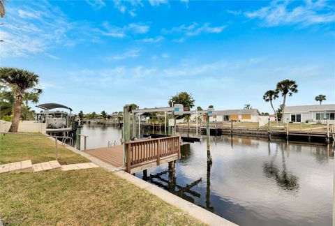 A home in APOLLO BEACH