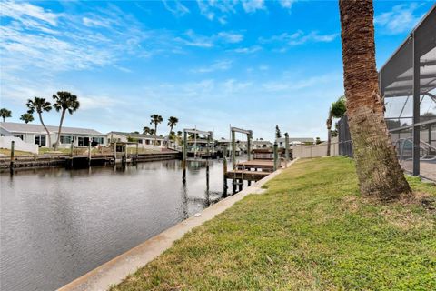 A home in APOLLO BEACH