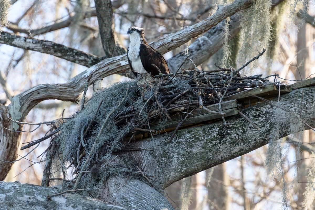 LAKE HOWELL ARMS CONDO - Residential Lease