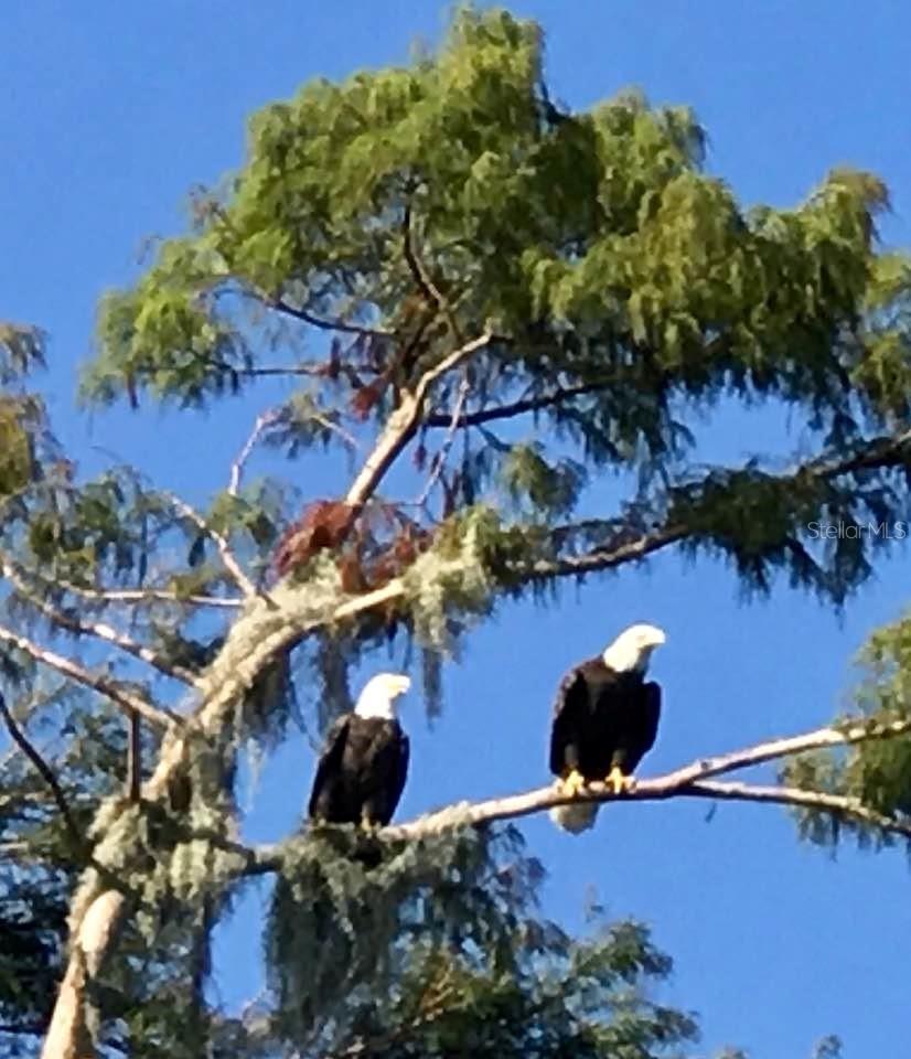 LAKE HOWELL ARMS CONDO - Residential Lease