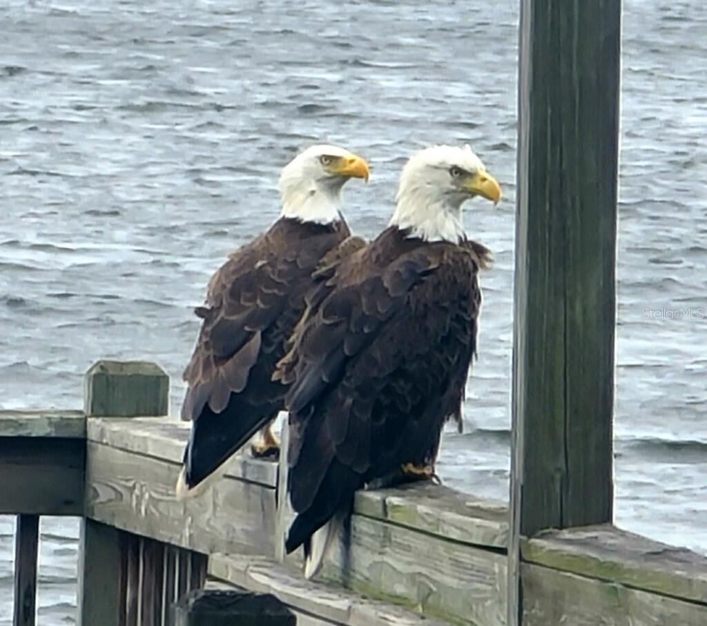 LAKE HOWELL ARMS CONDO - Residential Lease