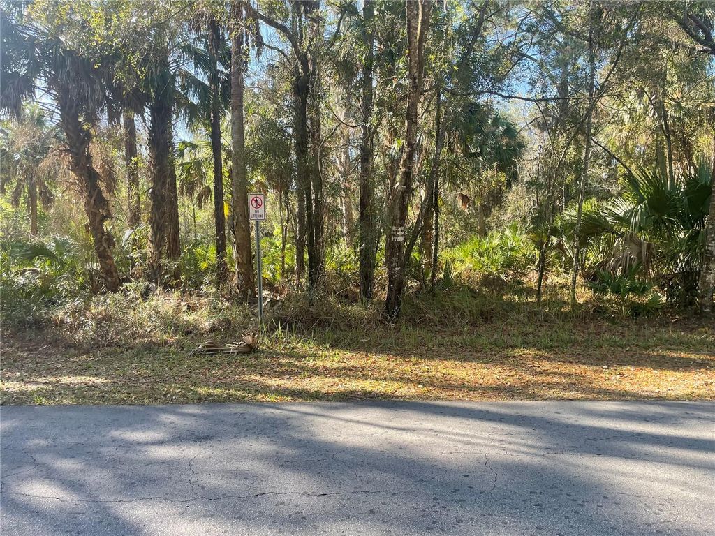 Photo of 1120 NE 3rd Street, Crystal River, FL 34429 (MLS # W7883701)
