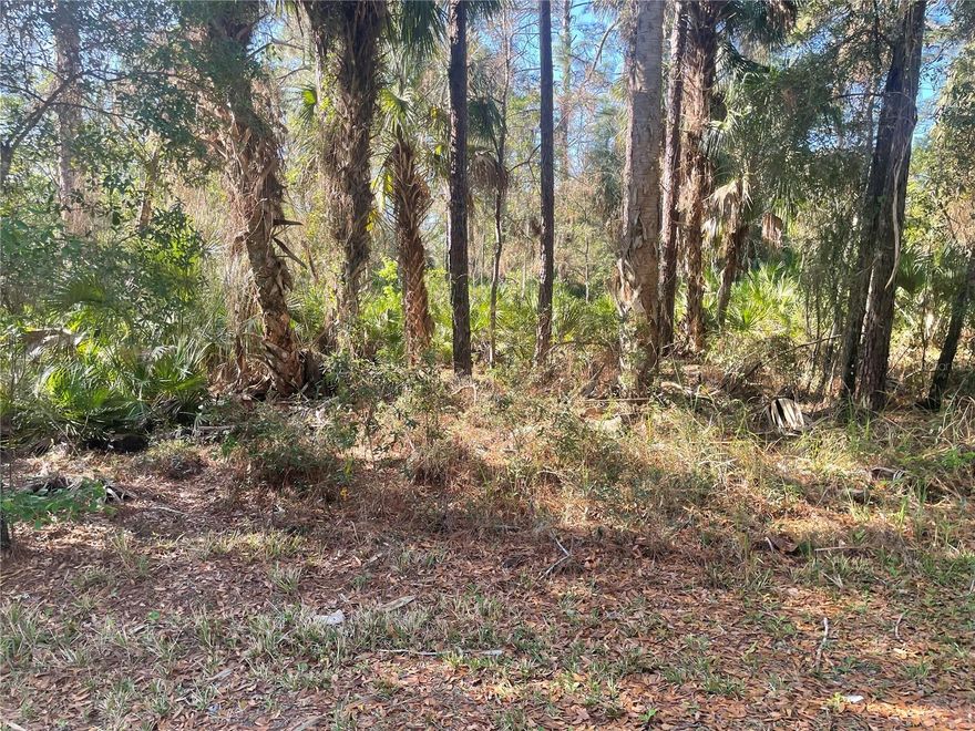 RESIDENTIAL VACANT LOT TO BUILD YOUR DREAM HOME IN CRYSTAL RIVER! great location  in Coperland Park neighborhood on 3rd St, In Crystal River a great place to be , with the nature coast, near fishing, camping and walking distance to the Crystal River Health and Rehabilitation Center.
