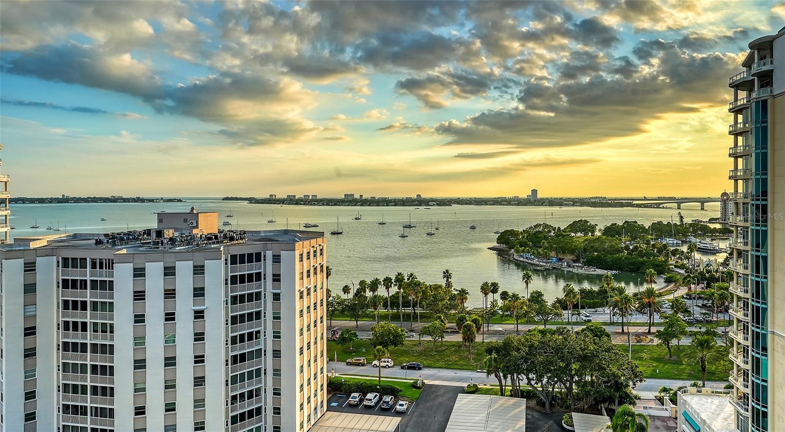 THE SAVOY ON PALM - Residential