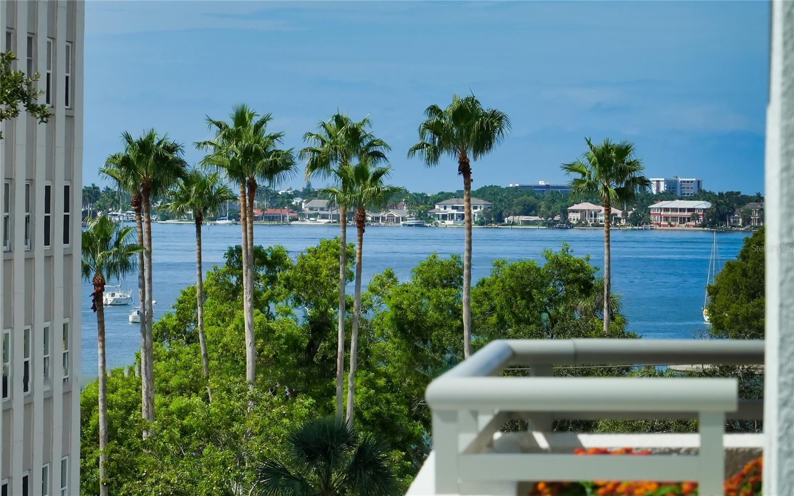 THE SAVOY ON PALM - Residential