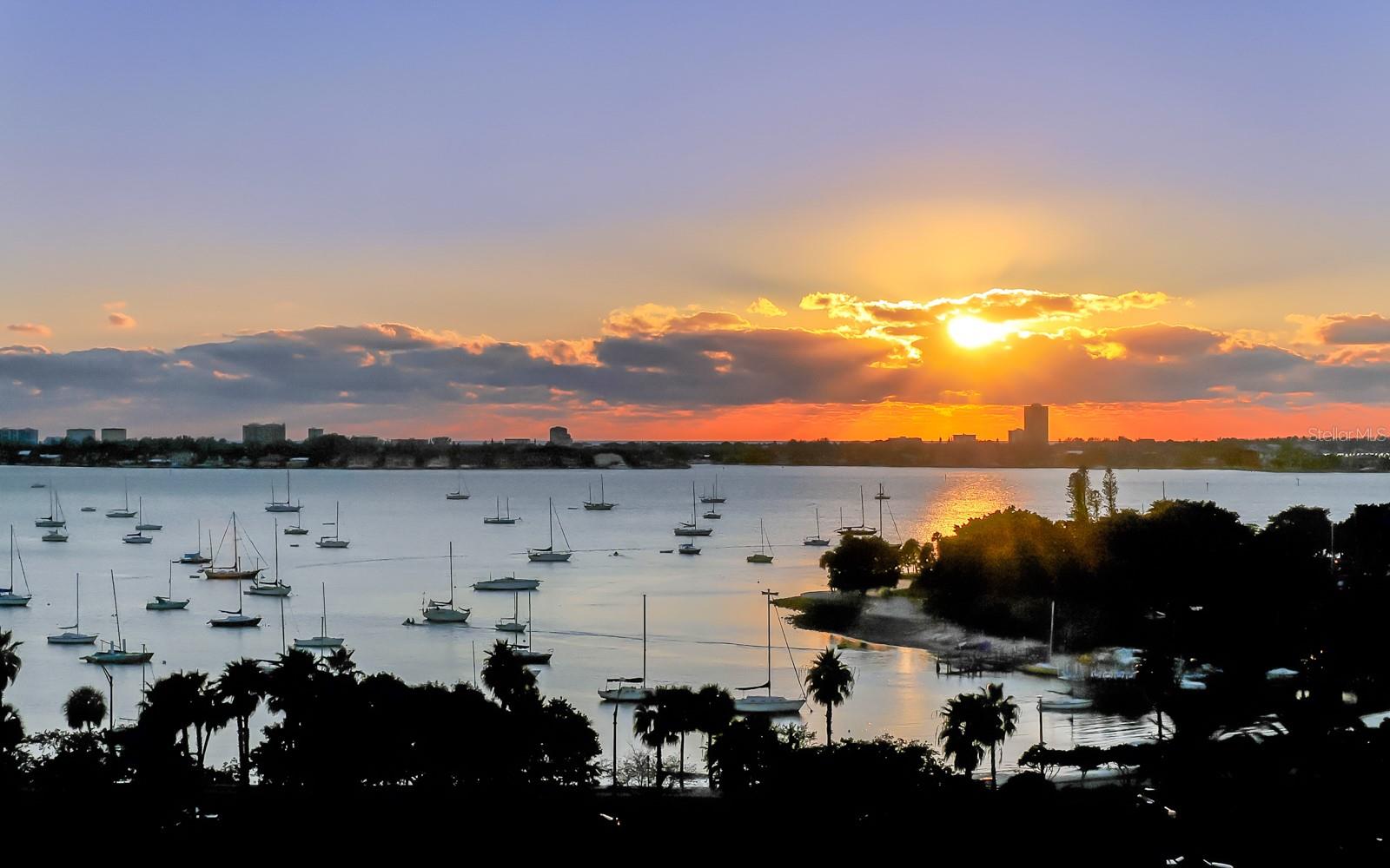 THE SAVOY ON PALM - Residential