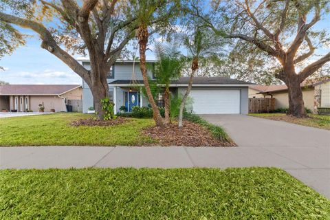 A home in TAMPA