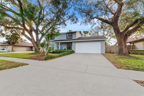 A home in TAMPA